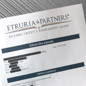 Etruria&Partners - Investigazioni patrimoniali
